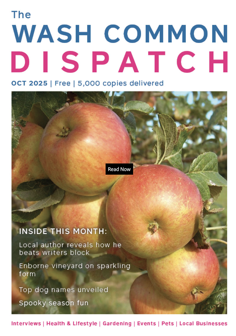 Wash Common Dispatch October 2025 Edition