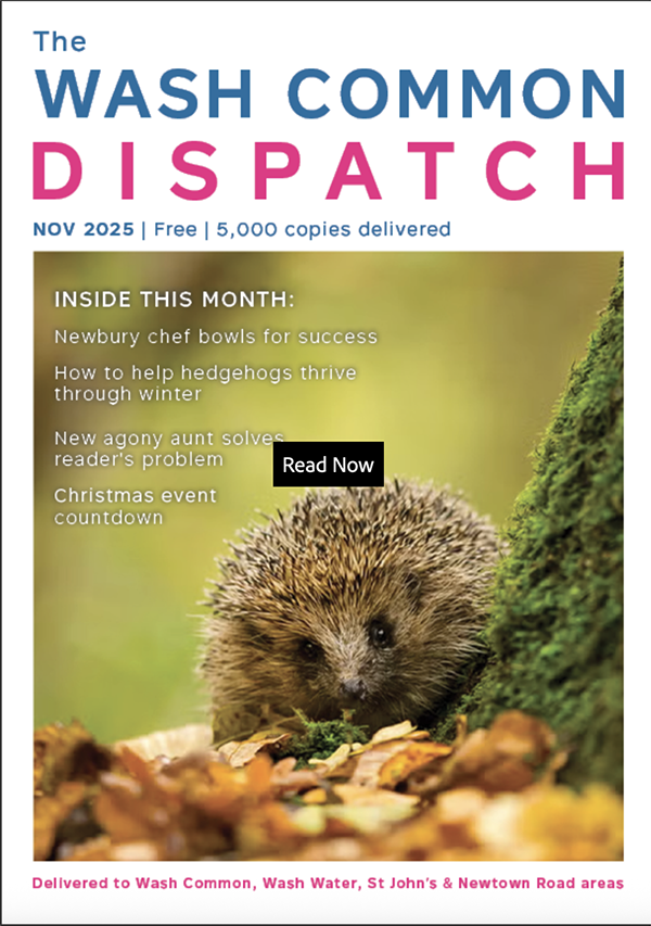 Wash Common Dispatch November 2025 Edition