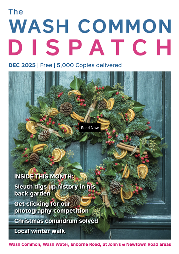 Wash Common Dispatch November 2025 Edition