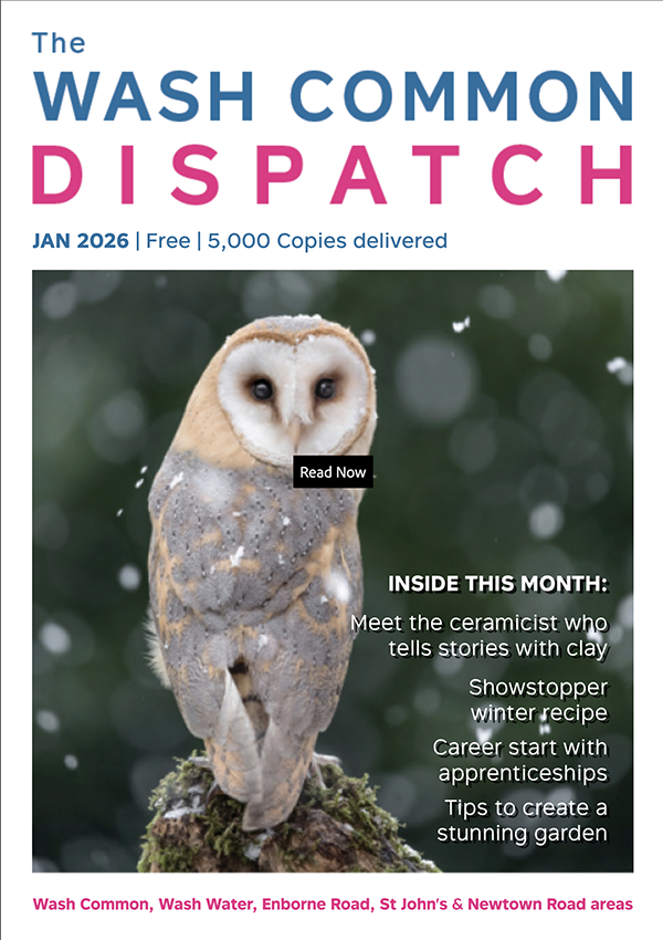Wash Common Dispatch November 2025 Edition